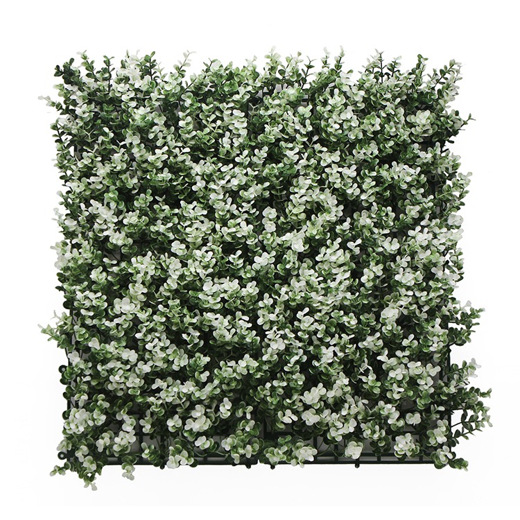 1689650003_BUXUS (WHITE).jpeg